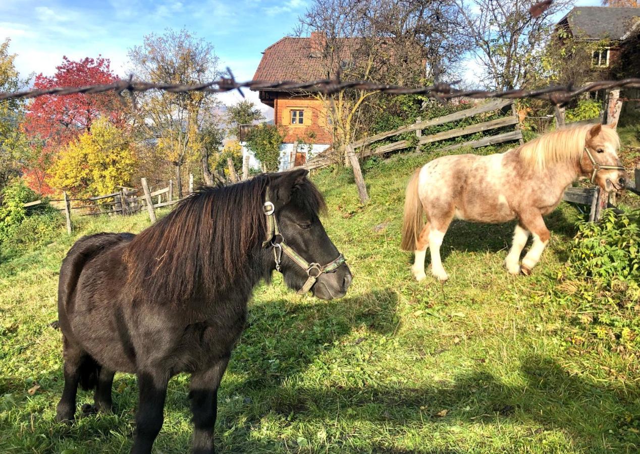 Feielhof 호텔 Krakaudorf 외부 사진